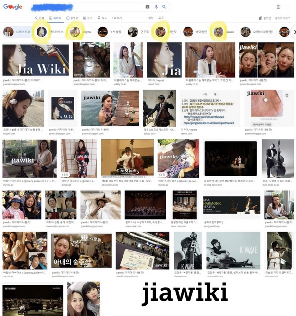 구글에서 이지아 검색 결과 - jiawiki:이지아 정보 사이트